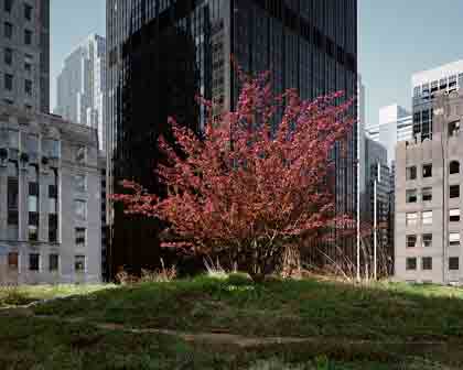 Brad Temkin